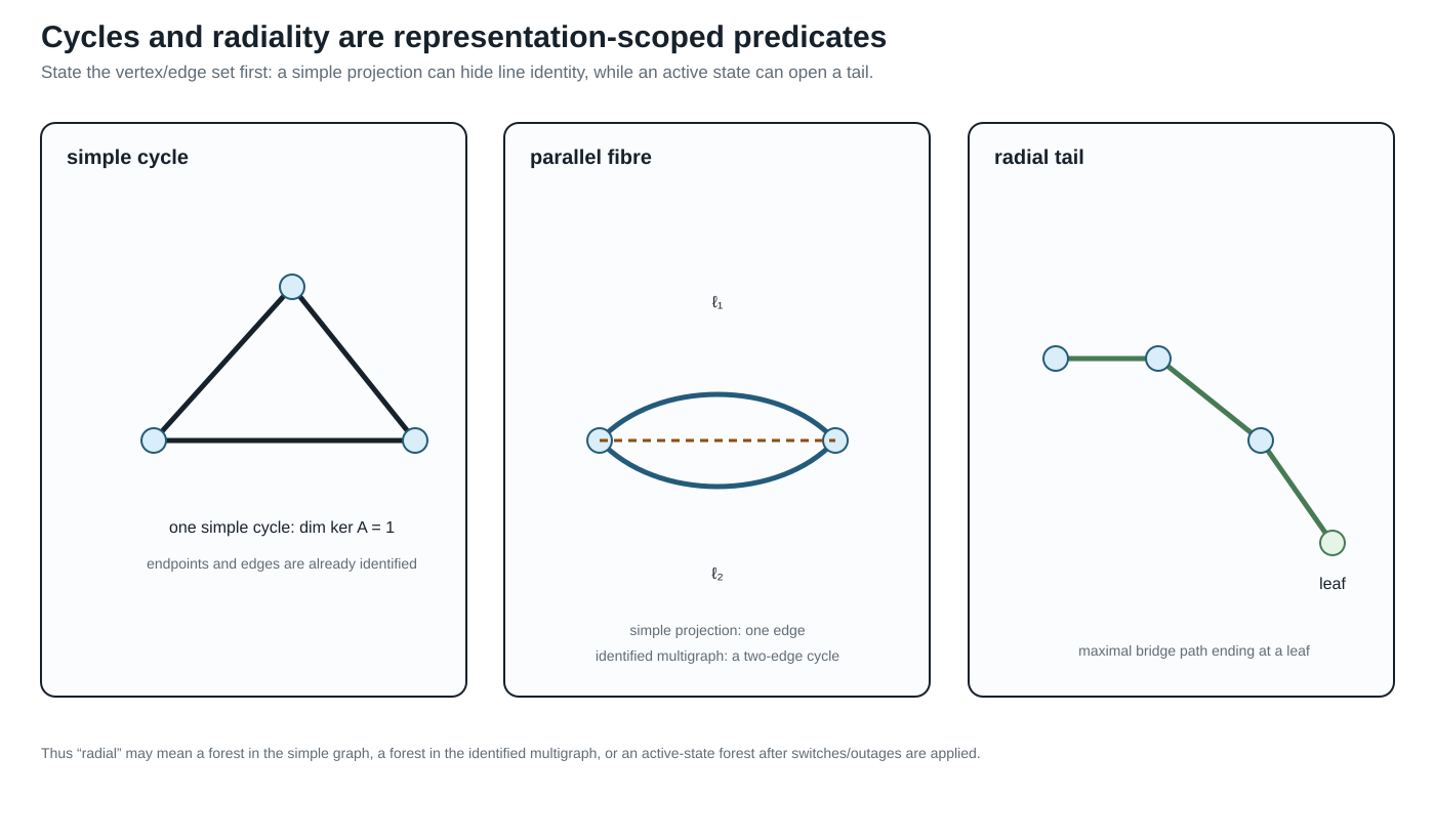 Simple cycles, line-identity cycles, and radial tails.