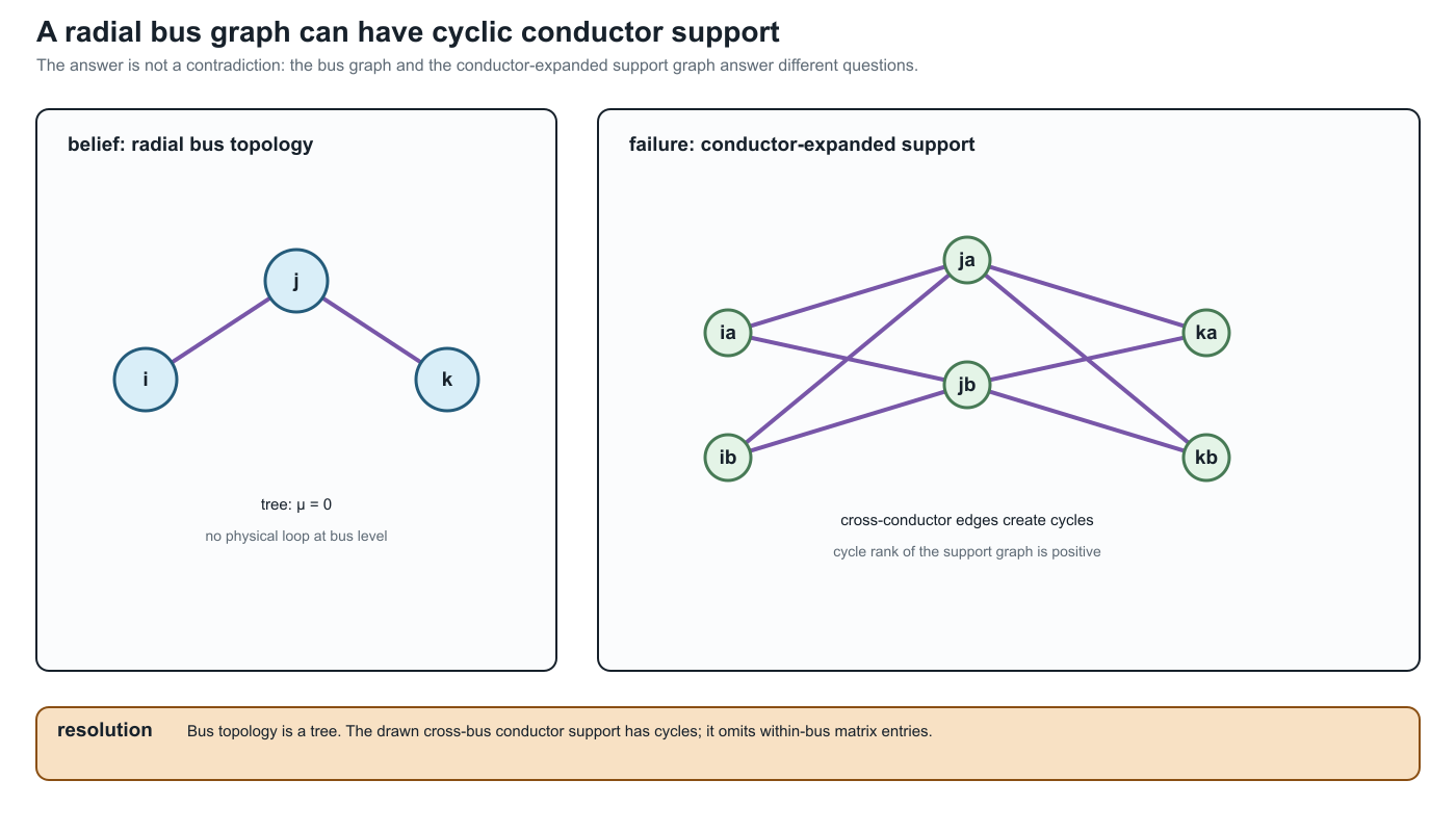 A radial bus-level feeder can have cycles in its conductor-expanded support graph.